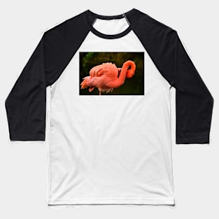 Flamingo Baseball T-Shirt